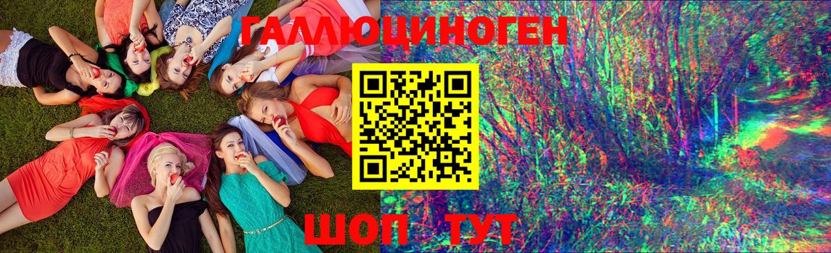 Галлюциногенные грибы Psilocybe  Вход с VPN  Галлюциногенные грибы Psilocybe  Кизилюрт 