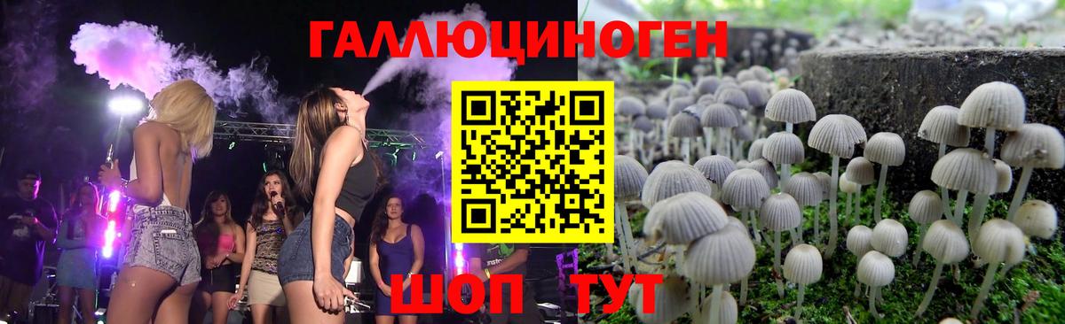 Псилоцибиновые грибы Psilocybe Кизилюрт